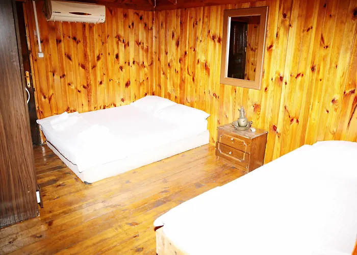 Salinas Wooden Houses אולימפוס